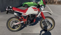 IMG_5956.jpeg