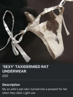 1742820845134.png