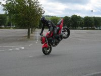 LITEN Stoppie - hög 2.JPG