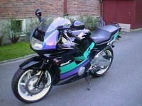 Honda cbr 600 2.jpg