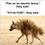 1742912104381.png