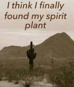 1743237444204.png