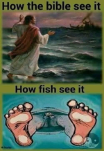 1743354367182.png