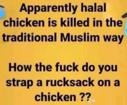 1743439853050.png