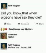 1743623184049.png