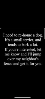 FB_IMG_1743620578134.jpg