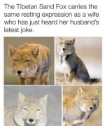 FB_IMG_1743795631756.jpg