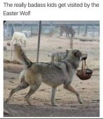FB_IMG_1743795913075.jpg