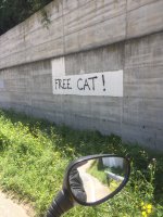IMG_2354.jpeg