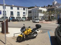 IMG_2355.jpeg