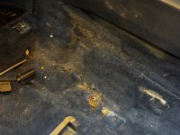 IMG_8129.jpeg