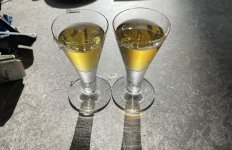 IMG_1525.jpeg