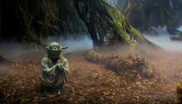 yoda-on-dagobah+(1).jpg