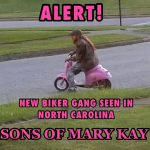 1744221606145.png