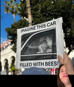 1744296844736.png