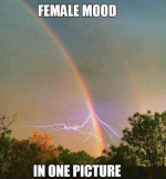 1744300347138.png
