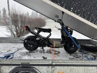 Zoomer_1.jpg