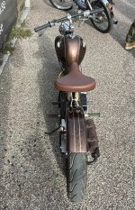 IMG_1014.jpeg