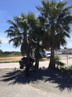 IMG_1567.jpeg