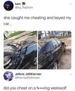 1000012676.jpg