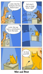 1744904442785.png