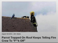 1744965571953.png