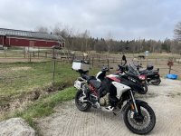IMG_6369.jpeg
