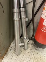 IMG_4329.jpeg
