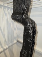 20250424_033806.jpg
