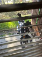 IMG_0808.jpeg