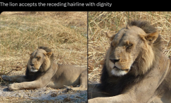 1745877055584.png