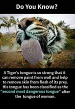 1746010156974.png