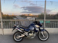 IMG_1677.jpeg