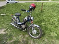 IMG_1695.jpeg
