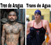 1746372786523.png