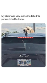 1746508510706.png