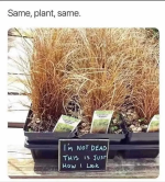 1746651793830.png
