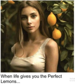 1747132497711.png