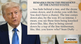 1747401165898.png