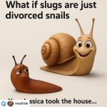 FB_IMG_1747496673669.jpg