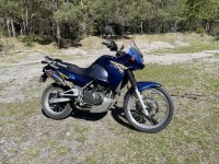 IMG_1733.jpeg