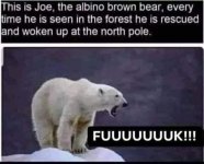 1747688036011.jpeg