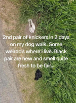 1747906738788.png