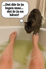 FB_IMG_1747914206577.jpg