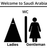 1000032851.jpg