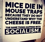 1748003859302.png
