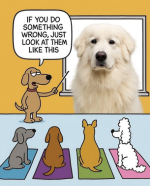 1748259639753.png
