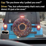1748261772725.png