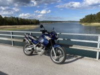IMG_1762.jpeg