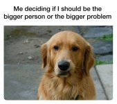 1748325227505.jpeg